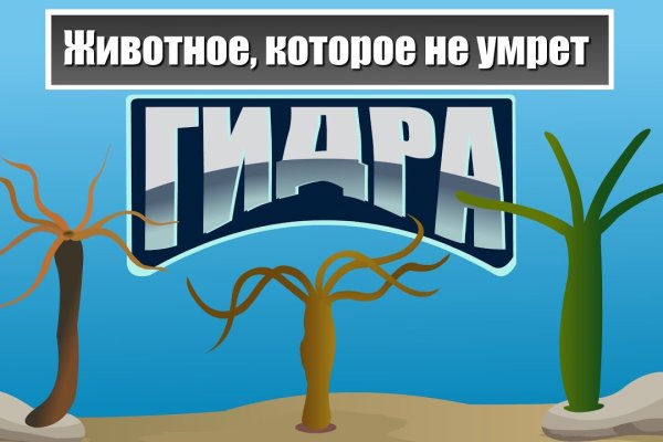 Kraken маркетплейс зеркала