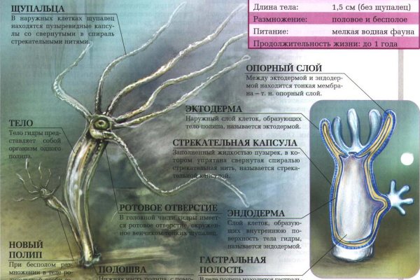Kra27.at
