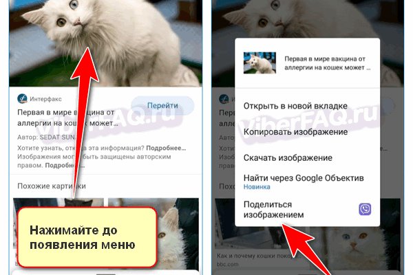 Кракен даркент
